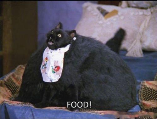 吃瓜娱乐圈懒猫儿,揭秘明星幕后故事